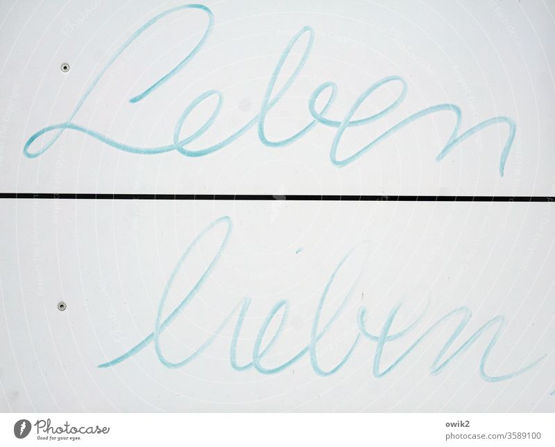 Mitteilung Schild Buchstaben Worte Leben lieben hingemalt Schreibschrift spontan positiv ermuntern Filzstift Schriftzeichen Farbfoto Hinweisschild blau