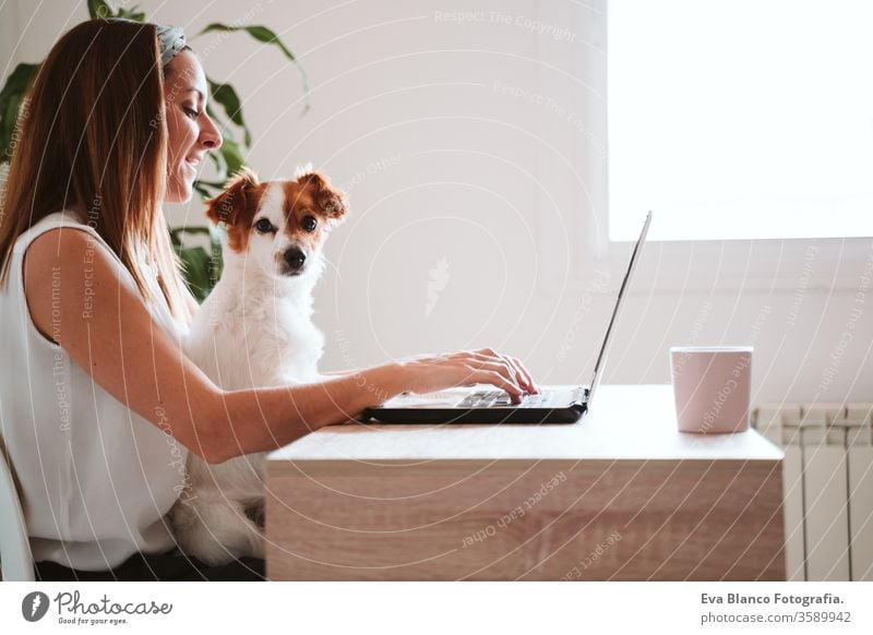 junge frau, die zu hause am laptop arbeitet, daneben süßer kleiner hund. bleiben sie sicher während des coronavirus covid-2019 konzepts kuscheln Liebe Kuscheln