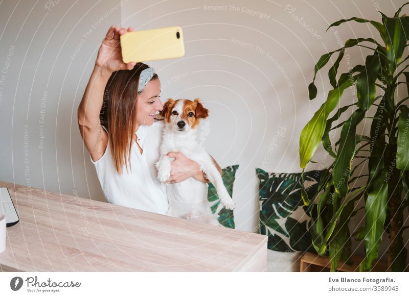 junge Frau, die zu Hause arbeitet, mit dem süßen kleinen Hund kuschelt und ein Foto mit dem Handy macht. Konzept "Zuhause bleiben kuscheln Liebe Kuscheln