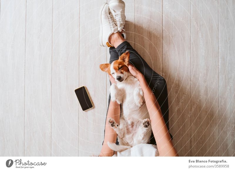 junge Frau zu Hause, die ihren süßen kleinen Hund kuschelt. Konzept "Zuhause bleiben kuscheln Draufsicht heimwärts Handy arbeiten Technik & Technologie Haustier