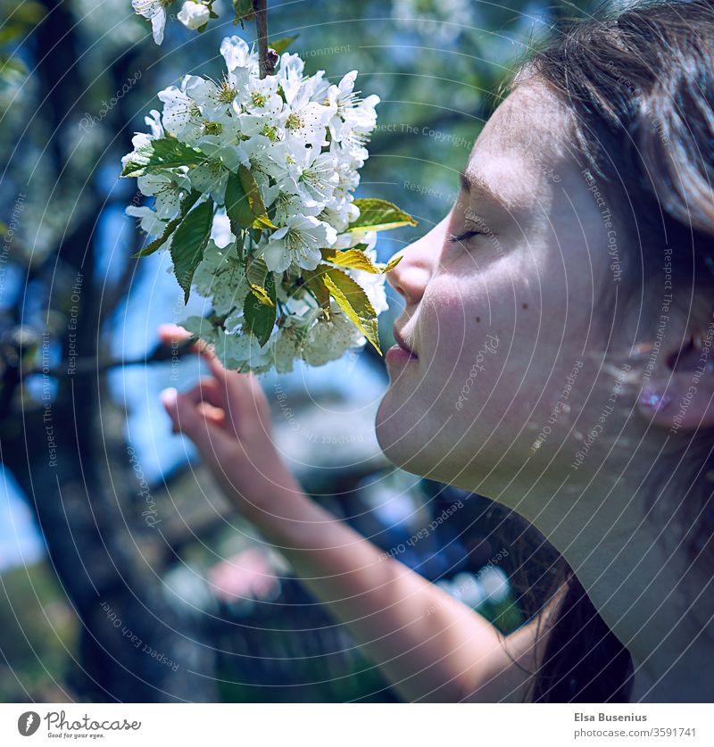 Frühling Mädchen richt an Kirschblüten Kind Mensch Außenaufnahme Kindheit 8-13 Jahre Freude Glück Farbfoto richen genießen genießend geschlossene Augen Garten