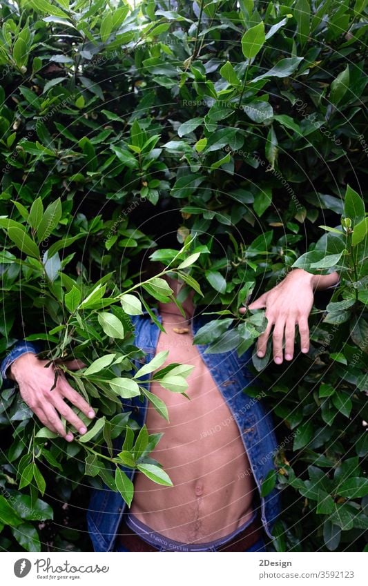 Ein junger Mann im grünen Gebüsch versteckt 1 Tierhaut Dschungel Blatt Person Natur Menschen unsichtbar Pflanze Model absurd Tarnung Baum anonym Teenager