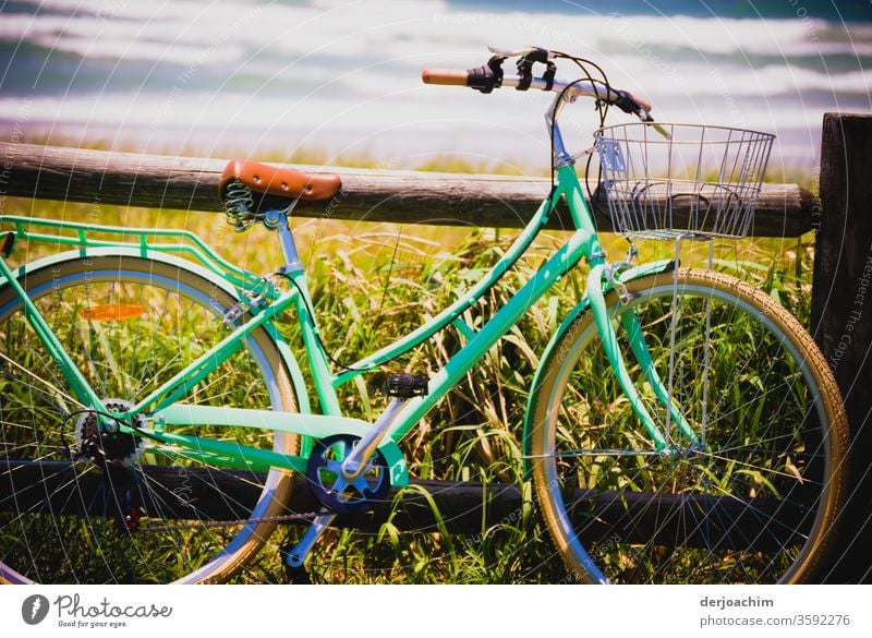 Ein  Damen -Fahrrad angelehnt am Holzbalken.Frisches Ufergrün mit Hintergrund das Meer. Bewegung Außenaufnahme Farbfoto Tag Freizeit & Hobby Menschenleer