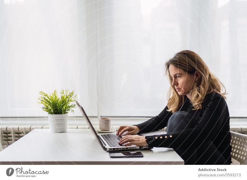 Entfernte Mitarbeiter, die zu Hause mit einem Laptop arbeiten Frau Arbeit heimwärts benutzend online abgelegen beschäftigt lässig ernst Tisch elektronisch