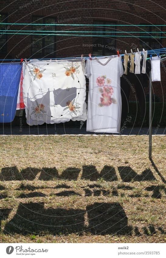 Waschtag Wäsche Textilien hängen Wäscheleine Wiese Schatten Wäscheklammern Tischdecke Socken Nachthemd Kontrast Sonnenlicht trocknen Sauberkeit Farbfoto