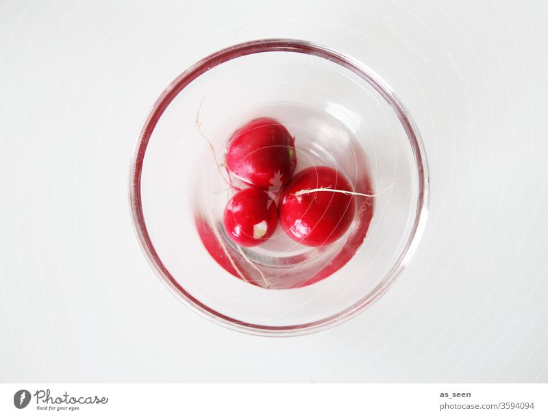 Drei Radieschen in Glasschale radieschensalat rot rund Glasschüssel Wasser frisch Gemüse Lebensmittel Vegetarische Ernährung Gesundheit Farbfoto Bioprodukte