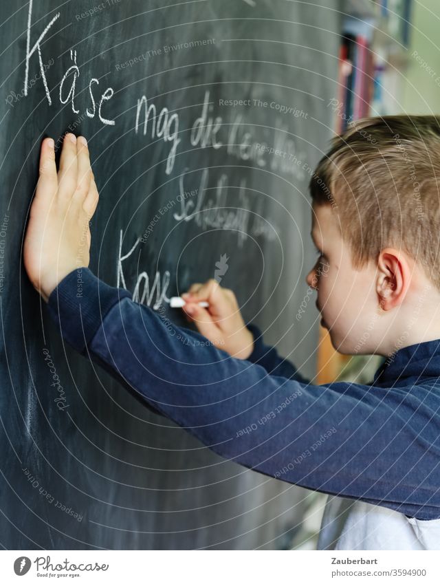 Homeschooling V - Junge schreibt mit Kreide auf eine Tafel einen Übungssatz für Schreibschrift Schule Schülerin Grundschule Bücher Regal Bücherwand Jeans grün