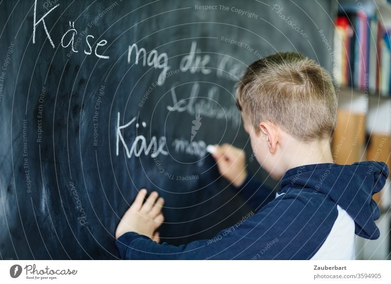 Homeschooling III - Junge schreibt mit Kreide auf eine Tafel einen Übungssatz für Schreibschrift, im Hintergrund Bücherregal Schule Schülerin Grundschule Regal