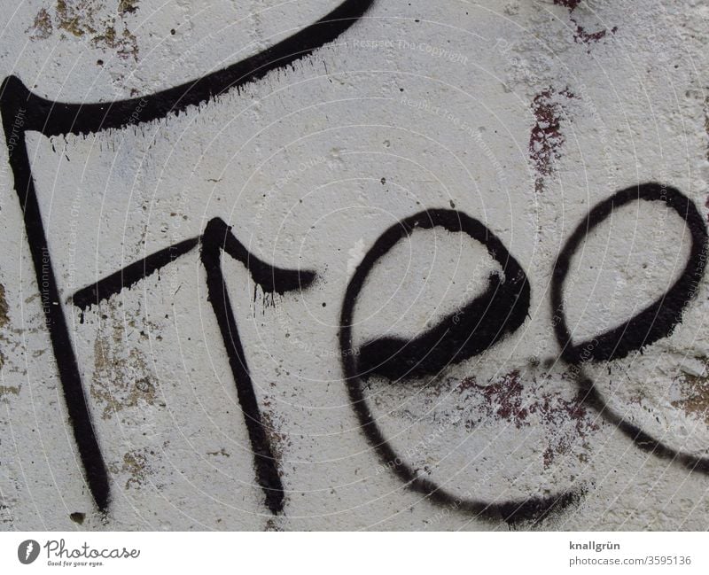 Free Graffiti free frei Freiheit Außenaufnahme Wand Buchstaben Wort Schriftzeichen Typographie Schmiererei Straßenkunst Text Kunst Handschrift Letter Sprache