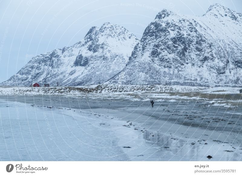 Ein Mann steht am Strand vor verschneiten Bergen Lofoten Norwegen Skandinavien Winter Berge u. Gebirge Schnee Spiegelung Winterlandschaft blau