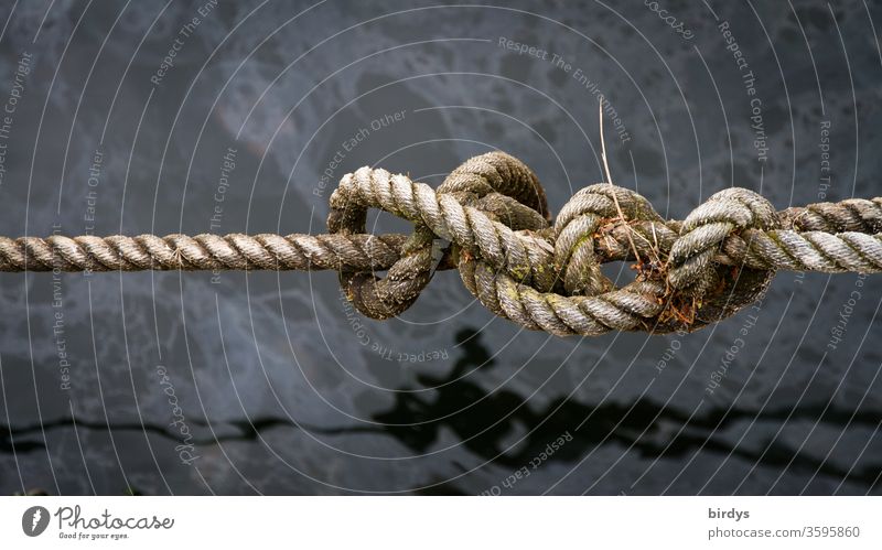 Knoten in einem Hanfseil über Wasser. Seemannsknoten Seefahrt Seil Schifffahrt verwittert festmachen verknoten maritim Hafen Menschenleer Wasseroberfläche