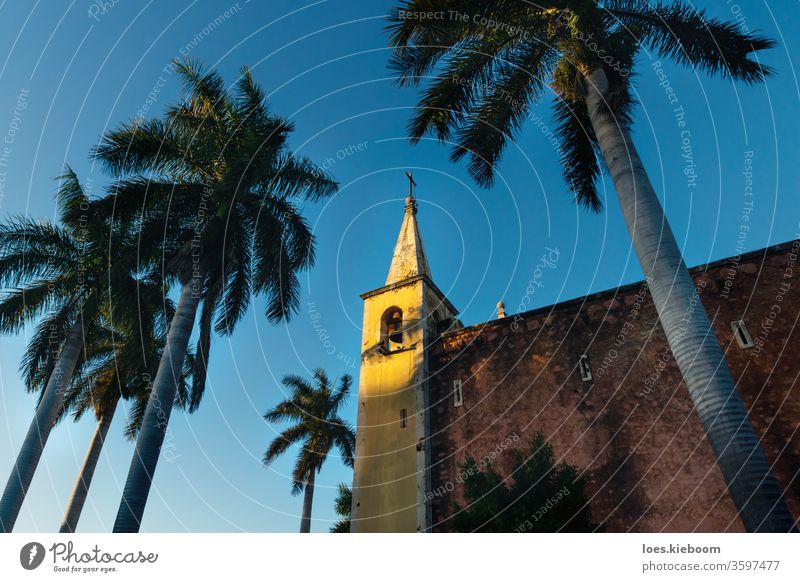 Glockenturm der Kirche Santa Ana, eingerahmt von Palmen bei Sonnenuntergang, Merida, Yucatan, Mexiko Mérida Wahrzeichen amerika reisen kolonial gelb Turm