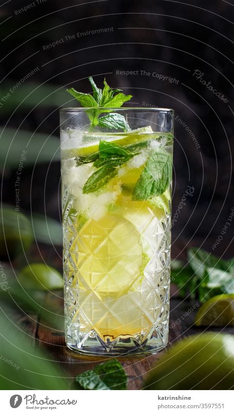 Hausgemachter erfrischender Mojito-Cocktail in einem hohen Glas Mocktail Minze Kalk Caipiroska Caipirinha Limonade Getränk trinken Blatt Alkohol dunkel