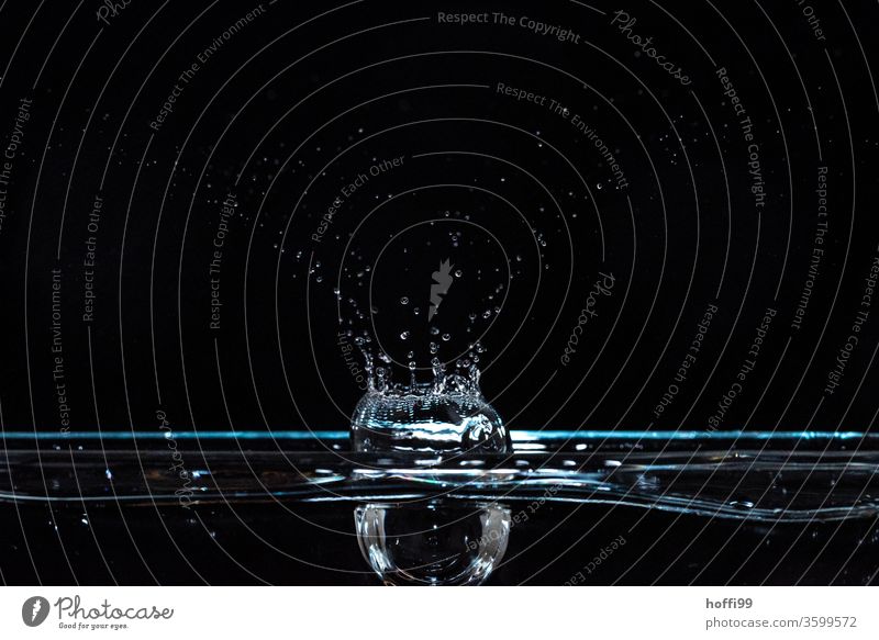 Wassertropen fallen und lassen Figuren entstehen nass Tropfen Wassertropfen blau Wellen Wasseroberfläche Blitzlichtaufnahme schwebend schwarz Schweben