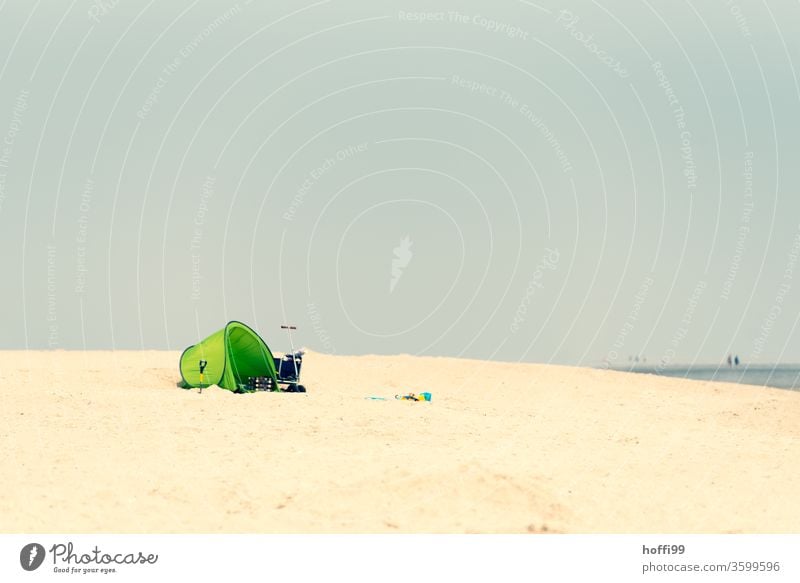 Einsamer Sandstrand mit grüne Strandmuschel - die anderen kommen noch ... Windschutz Stranddüne Sommer Sommerurlaub Nordseestrand Ostseestrand Insel