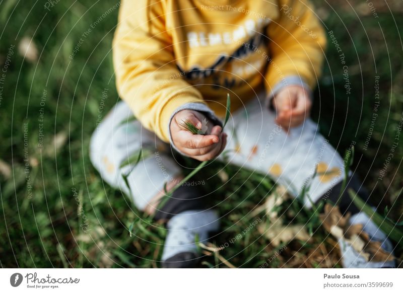 Kleinkind sitzt auf Gras Baby Kind Kindheit Neugier unschuldig entdecken Farbfoto Mensch Außenaufnahme 0-12 Monate Fröhlichkeit Natur 1-3 Jahre Freude Leben