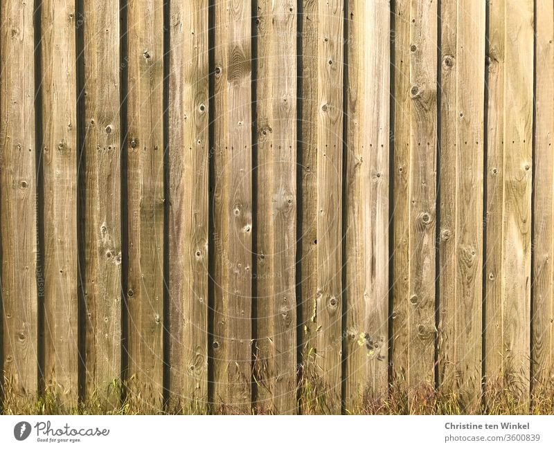 alt I Hellbraune Bretterwand mit kleinen trockenen Gräsern davor Holzwand Wand Strukturen & Formen Muster Hintergrundbild Fassade Nahaufnahme Linie