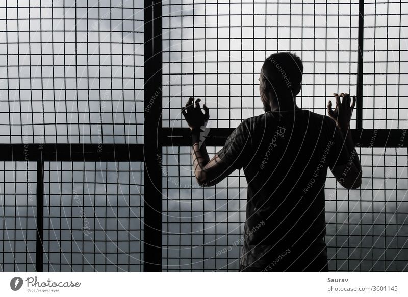 Junger Mann in Selbstisolierung/Quarantäne zu Hause, der während einer globalen Pandemie aus einem Maschengitterfenster schaut. Jugendliche Coronavirus Korona