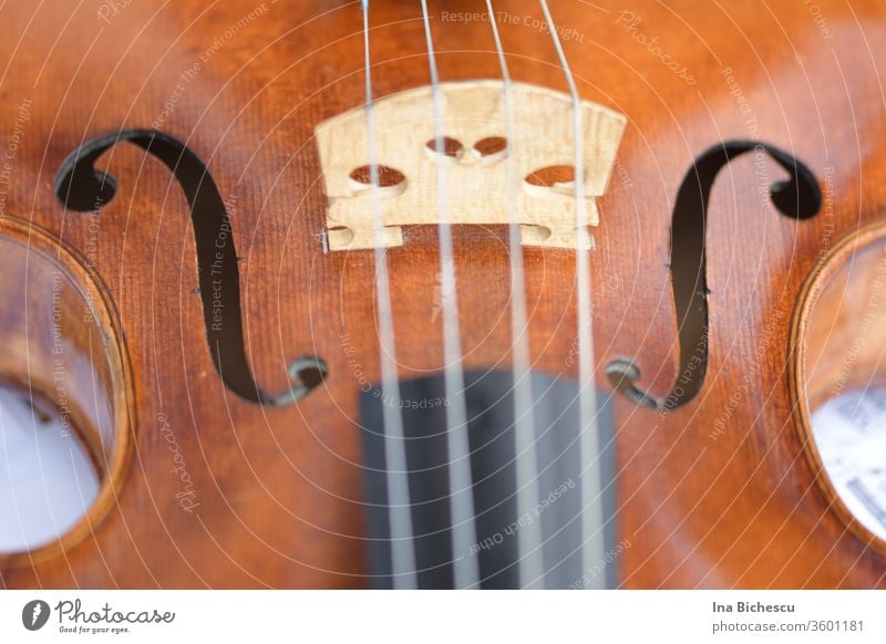 Eine Geige von oben  und sehr nah fotografiert. Man sieht der Steg, die F Löcher, ein Teil der Metall Seiten, ein Teil des Korpus aus hellem Holz und ein Teil des schwarzen Griffbretts des Instruments.