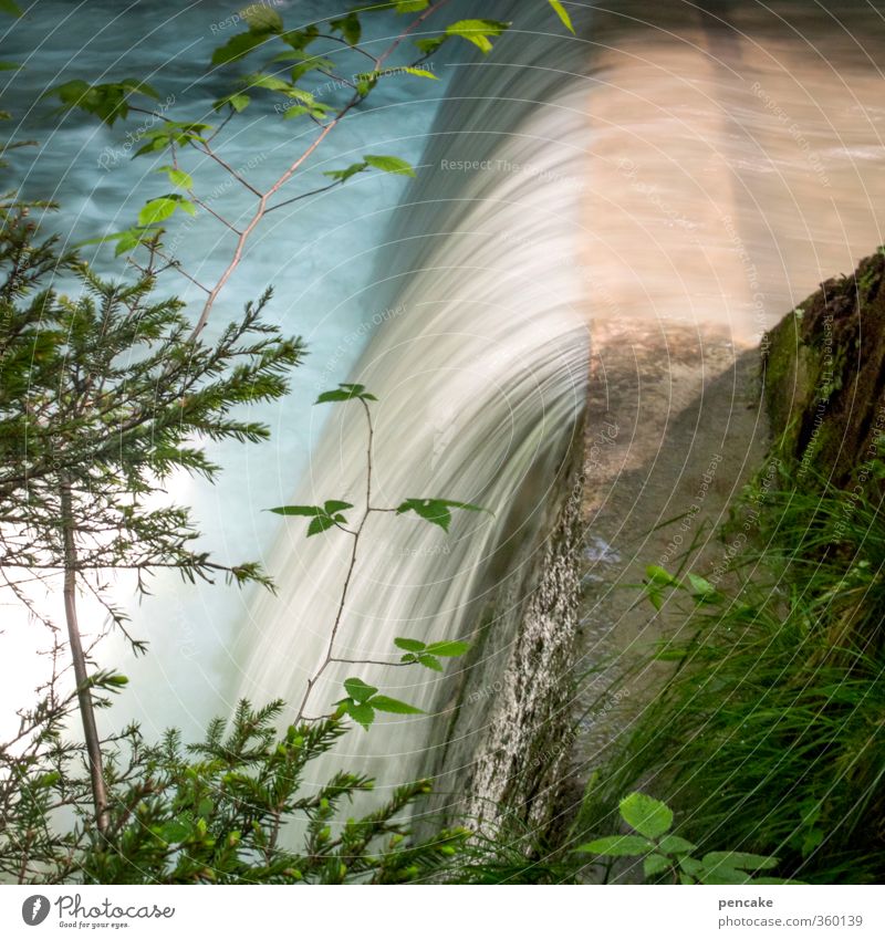 AST6 Inntal | stufenwasser Natur Landschaft Pflanze Urelemente Wasser Sommer Schönes Wetter Wald Alpen Berge u. Gebirge Wellen Bach Wasserfall Stein Beton