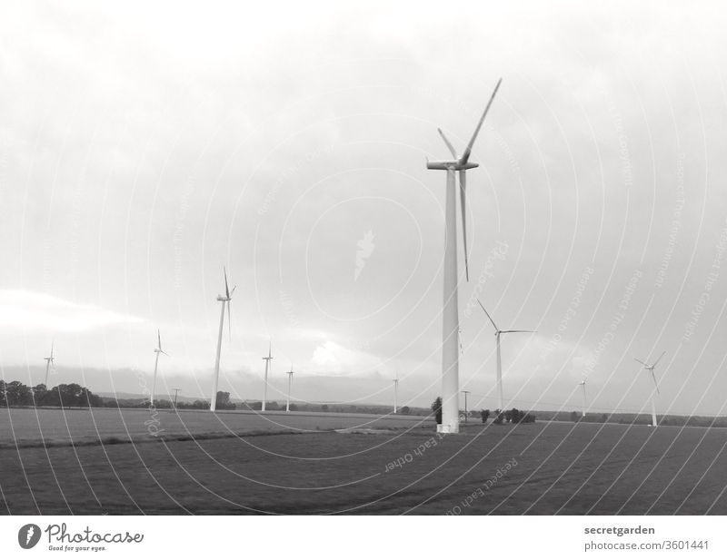 Erzeuger. Wind Windrad Windrichtung Windkraftanlage Energiewirtschaft Außenaufnahme Erneuerbare Energie Himmel Elektrizität Umwelt Umweltschutz