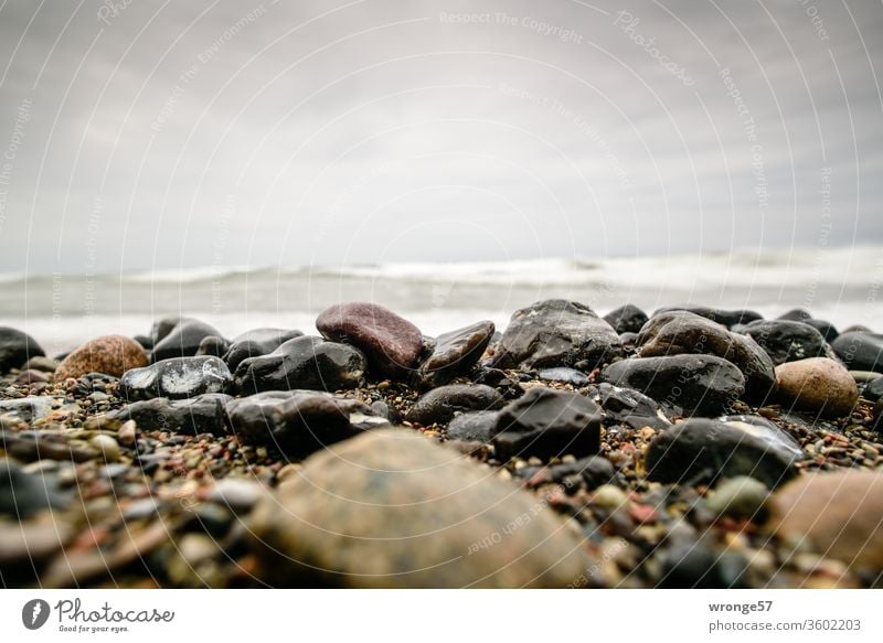 Nasse glänzende Steine liegen am Strand vor den sich hoch auftürmenden Wellen der Ostsee Steinstrand nass Ostseestrand hohe Wellen auftürmende See Brandung Meer