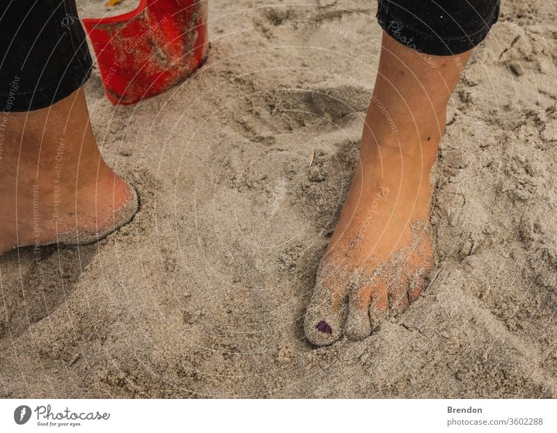 Sandy Feet umgeben von Muscheln an einem Sommertag am Strand Hintergrund Barfuß schön Schönheit blau Karibik Küste Küstenlinie Konzept Fuß Frau Fußspur Feiertag
