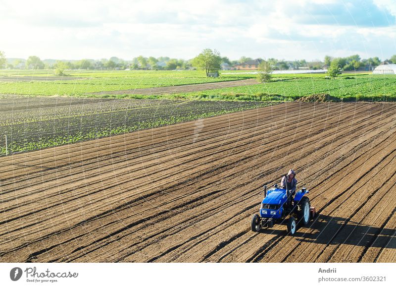 Landwirt auf einem Traktor bearbeitet ein Feld. Er zerkleinert und lockert den Boden, entfernt Pflanzen und Wurzeln aus der vergangenen Ernte. Feldvorbereitung für die Neuanpflanzung von Feldfrüchten. Kultivierungsausrüstung. Ländlicher Raum