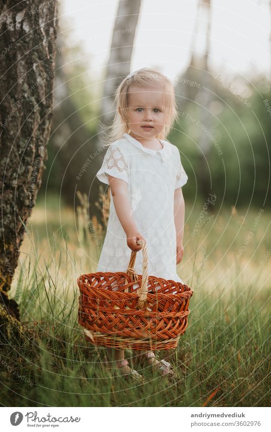 Hübsches kleines Mädchen, das mit einem Korb in einem sonnigen Garten spazieren geht. kleines Mädchen in einem weißen Kleid mit einem Korb im Park Frühling