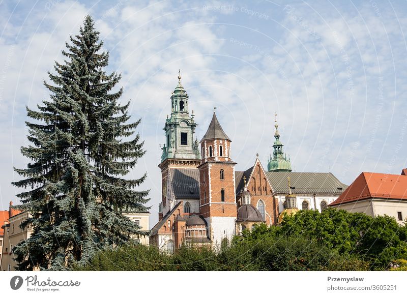 Sigismundkapelle auf Schloss Wawel in Krakau (Polen) Krakow reisen Tourismus malopolska Architektur Gebäude wawel Kapelle Kirche Wahrzeichen alt