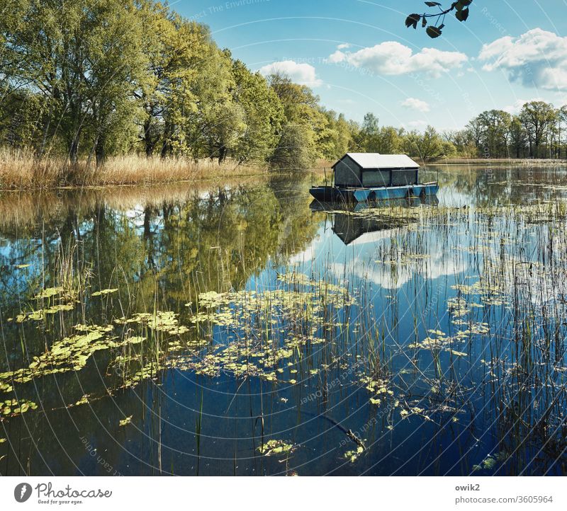 Es trödelt Hausboot Spiegelsee Wasseroberfläche Wasserfahrzeug Ruhe Idylle Weite See Reflexion & Spiegelung Außenaufnahme draußen Natur Himmel Wolken ruhig