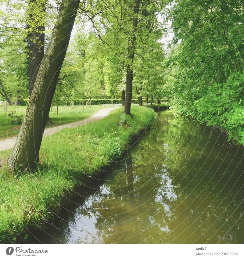 Es fließt Landschaft Kanal Wasserstraße Farbfoto Außenaufnahme fließend Gewässer Natur Menschenleer Fluss Tag Reflexion & Spiegelung Zentralperspektive