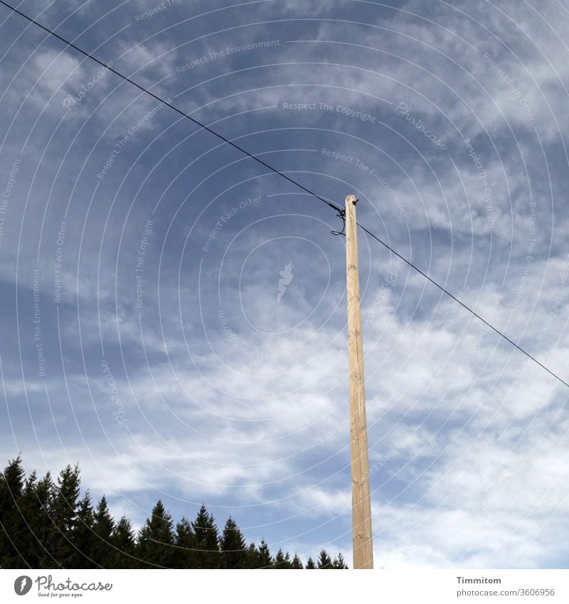 Holzmast und Stromleitung im Schwarzwald Himmel Strommast Außenaufnahme Menschenleer blau Bäume Fichten Schönes Wetter Kabel Elektrizität