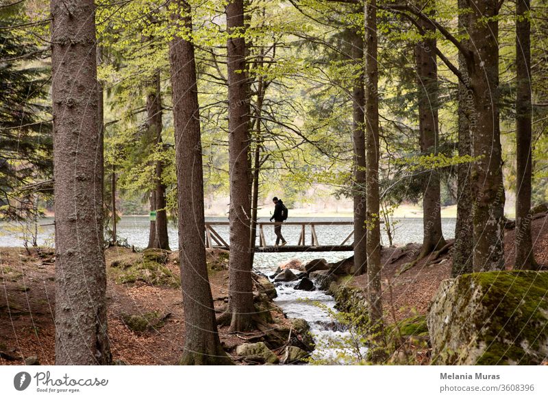 Dunkle Silhouette eines Mannes, der durch die Holzbrücke im Wald geht. Bergsee und Bach. Wandern im Wald. Wanderweg im Naturpark. Schwarzwald. Schwarzwald, Deutschland.