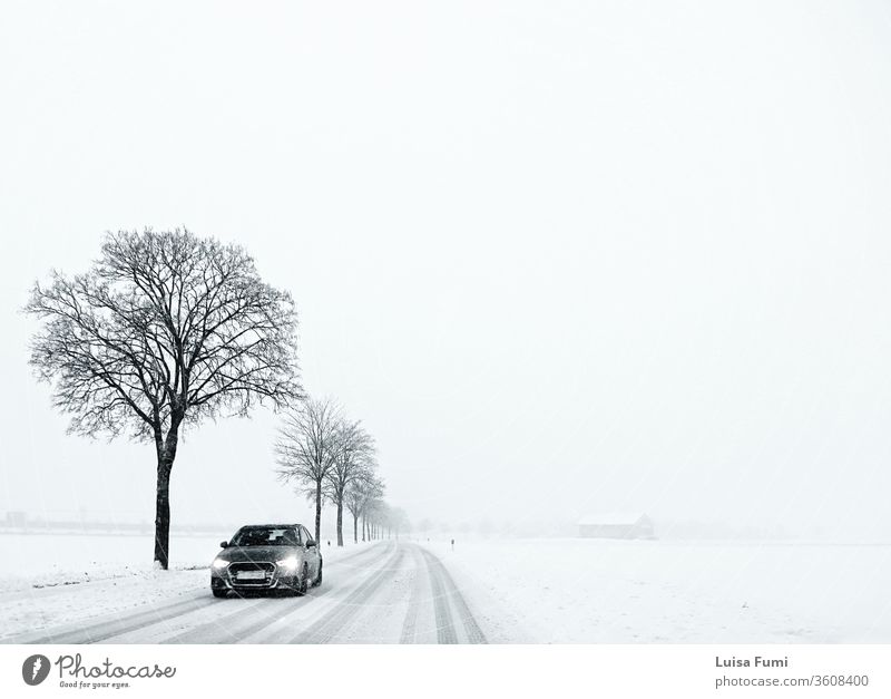 Winter in Bayern, minimalistische Szene, weiße Landschaft mit Schnee und Nebel, Landstraße flankiert von schwarzen Bäumen mit kargen Ästen und einem Auto im Anmarsch