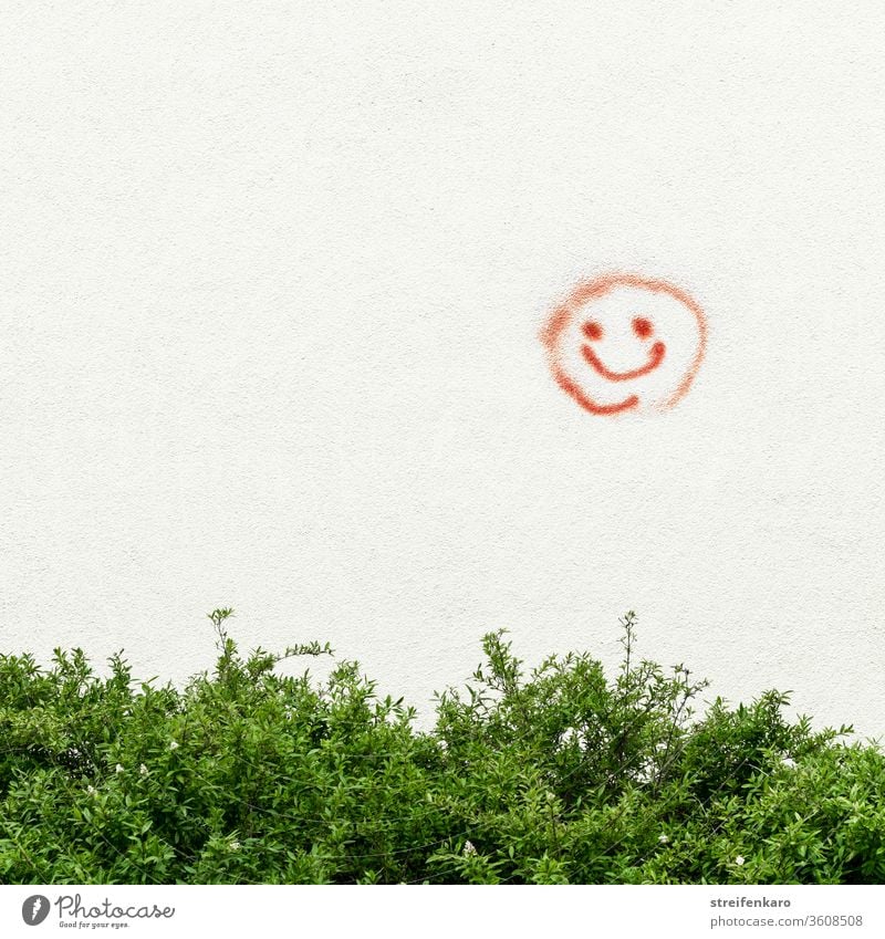 „Bitte recht freundlich“ strahlte der rote Smiley an der Wand über dem grünen Strauch Graffiti Mauer Außenaufnahme Farbfoto Zeichen Fassade Tag Gebäude