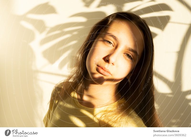 Licht- und Schattenspiel Porträt eines jungen, kaukasischen, süßen Mädchens mit braunen Haaren im Inneren des Hauses. schön Gesicht Hintergrund Glück Schönheit