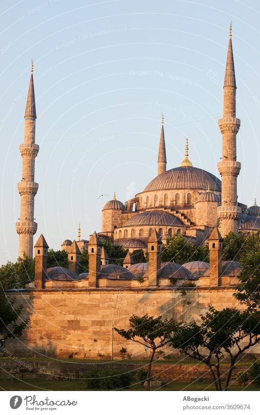Blaue Moschee (Sultan Ahmet Camii) bei Sonnenaufgang in Istanbul, Türkei Truthahn Wahrzeichen Islam Minarett Gebäude Architektur Sehenswürdigkeit Bauwerk
