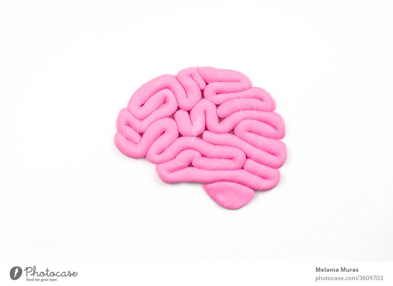 Modell eines rosa menschlichen Gehirns auf weißem Hintergrund. Profilansicht, Flachlegung. Konzept der Intelligenz. abstrakt Anatomie Künstliche Intelligenz
