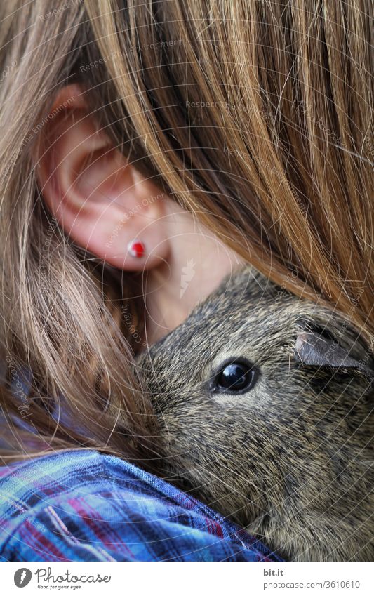 mausi's lieblingsmensch... Meerschweinchen Kind Kindheit Schulter Ohr Haare & Frisuren Haarsträhne haarig Ohrringe Kopf Gesicht Mensch Haut Mädchen weiblich