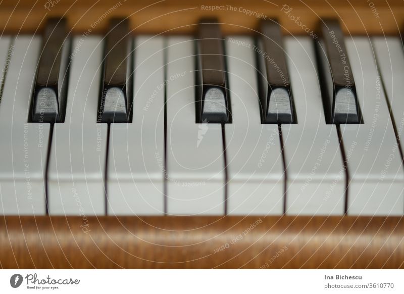 Sieben weiße und fünf schwarze Klavier Tasten umrandet von dem hell braunen Holz des Klaviers, fotografiert von der Spieler Seite. Schwarz weiß Musikinstrument