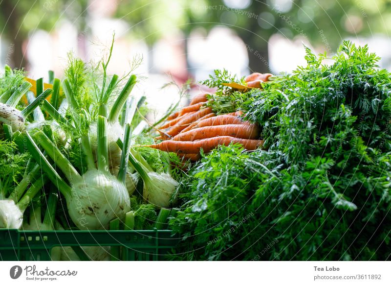 Markt-Produkte Marktplatz Gemüse Bioprodukte Lebensmittel Vegetarische Ernährung frisch Gesundheit lecker Diät Vegane Ernährung Salatbeilage Essen Abendessen