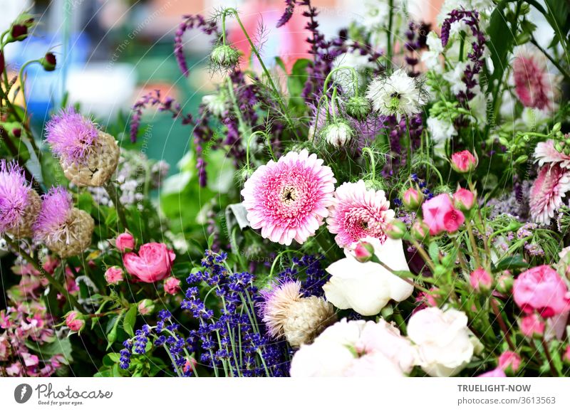 Nahaufnahme eines Marktstandes mit bunter Blumenpracht aus dem Bauerngarten in vollem Sonnenschein Markttag Blumenstrauß Schönes Wetter weiss lila rosa blau