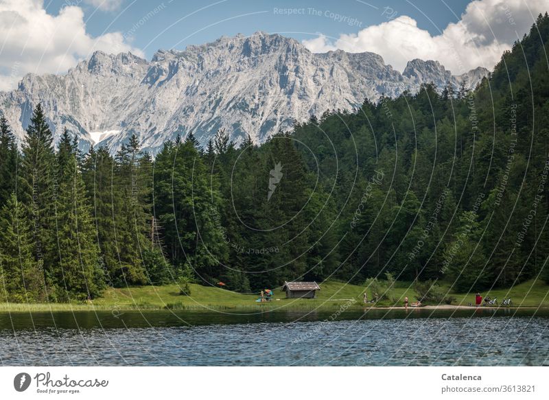 Badetag am Bergsee bei der Wiese mit dem Heuschober Natur Sommer Berge & Gebirge See Wasser Pflanze Wald Tannenwald Gras Menschen baden schwimmen Spaß Himmel