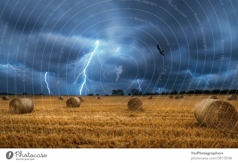 Heuballen auf dem Feld während eines Blitzsturms. Dunkle und stürmische Landschaft Deutschland landwirtschaftliche Fläche Ackerbau schlechtes Wetter