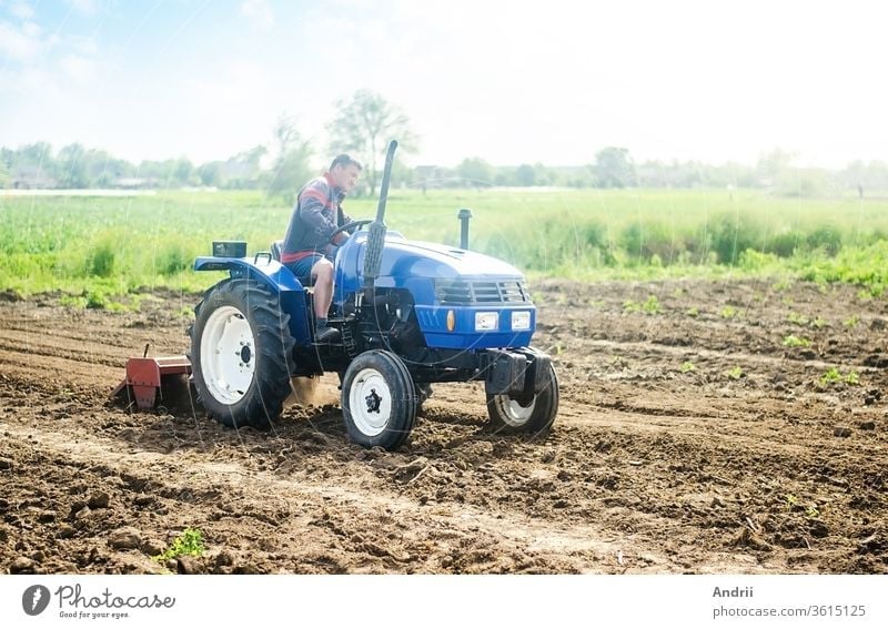 Ein Landwirt auf einem Traktor arbeitet auf dem Feld. Anbau von Feldfrüchten in einem kleinen landwirtschaftlichen Familienbetrieb. Unterstützung kleiner Unternehmen. Landwirtschaft und Ackerbau. Ausrüstung für die Anbautechnik. Lebensmittelproduktion