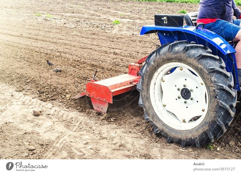 Traktor mit Fräsmaschine lockert, zerkleinert und vermischt den Boden. Ausrüstung für die Anbautechnik. Lockert die Oberfläche, kultiviert den Boden für die weitere Bepflanzung. Landwirtschaft und Ackerbau.