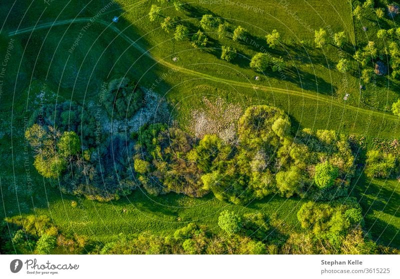 Drohne schoss auf einen grünen Feldweg durch Graswiesen, wo man einen gesunden Spaziergang an der frischen Luft genießen kann. Dröhnen Baum Natur Landschaft