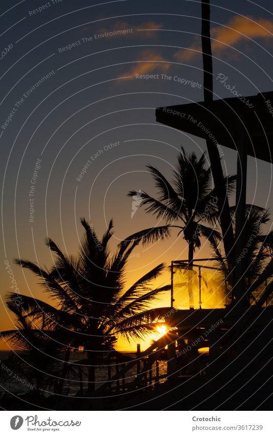Silhouette einer Hütte und Palmen vor dem Meer bei Sonnenuntergang vertikal Kabine Hotel Haus Gebäude Himmel Hintergrund schön Insel tropisch Kokosnuss Natur