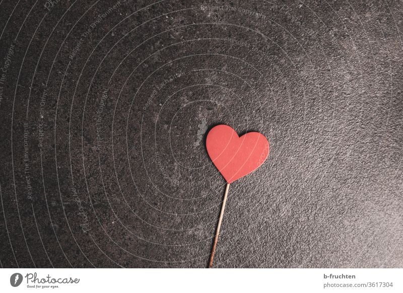 Rotes Holzherz auf einem Holzstäbchen, auf dunklem Hintergrund liebe lieben holzherz form herzform stab Stäbchen Valentinstag Valentinsgruß Romantik Herzform